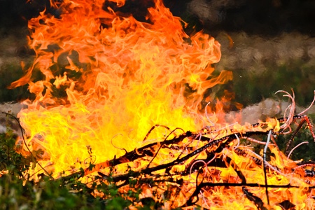big fire from wood burningの写真素材