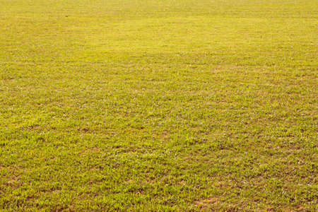football field