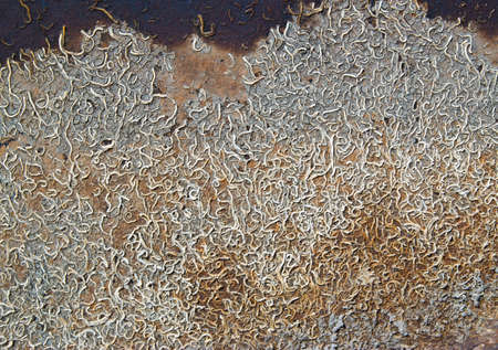 old rust iron metal texture.