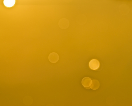 Nature bokeh backgroundの写真素材