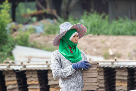woman laborer lifts the wood of Production of bricks in thailandのeditorial素材