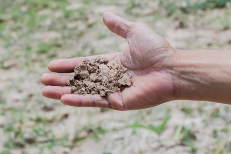 Soil in farmer handの写真素材