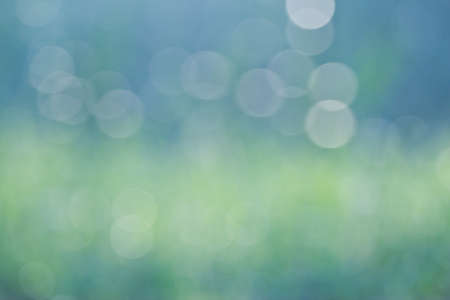 nature bokeh backgroundの写真素材