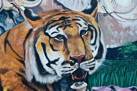 tiger paintの写真素材