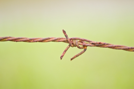 Barbed wire on  backgroundの写真素材