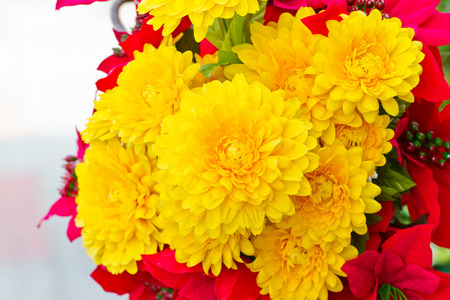 Decorative flowerの写真素材