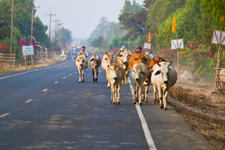 Way of life Countryside in thailandの写真素材