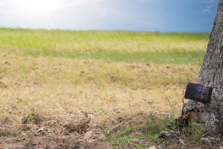 Old transistor radio on rice farmの写真素材