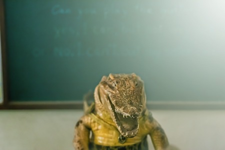 crocodile Coachingの写真素材