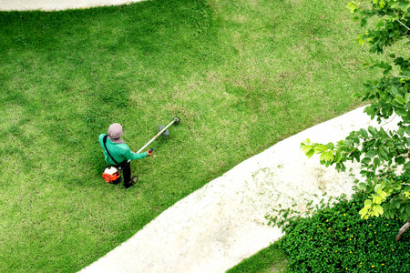 man worker cutting  grass with lawn mower
