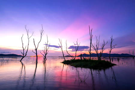 beautiful sunset on the reservoir , reflection of silhouettes dry tree , landscape thailandの写真素材
