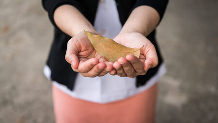 Autumn leaves in girl handsの写真素材