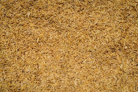 Rice Husk backgroundの写真素材