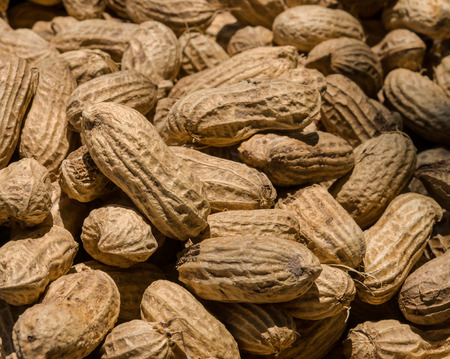 Many peanuts in shells, one upon the other