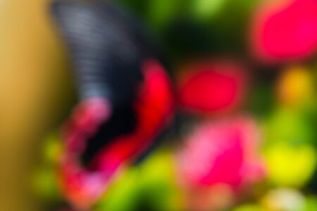 Color abstract backgroundの写真素材