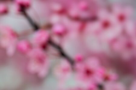 Color abstract backgroundの写真素材