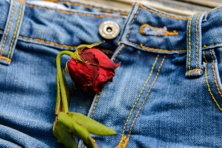 dried rose flower on blue jeans