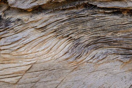 wood texture with natural pattern for backgroundの写真素材