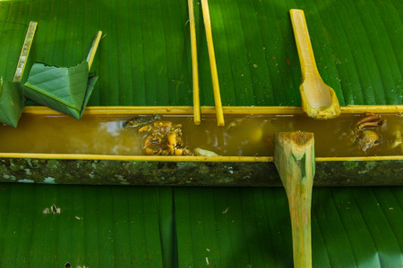 The tribal food in bamboo at forest の写真素材