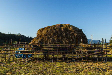 haystack in countryside at northern of Thailand の写真素材