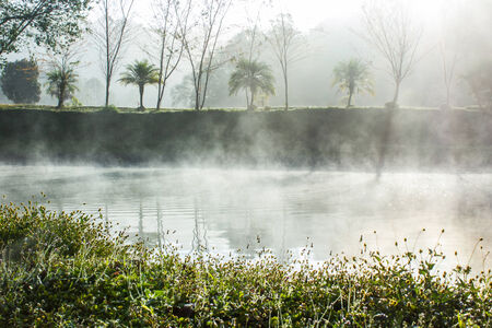 Winter morning Mist in lagoon の写真素材