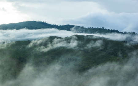 View of forest on Morning Mist at Tropical Mountain Range after rain fall, Thailand