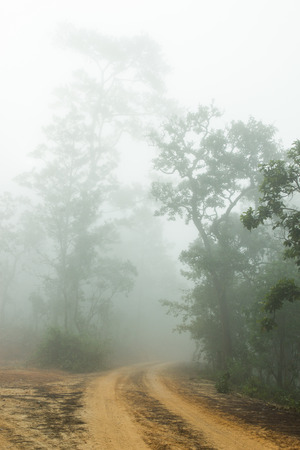 Dirt road covered with a fog in a winter seasonの写真素材