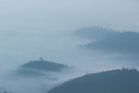 morning mist cover tree and mountain