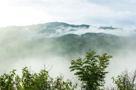 View of forest on Morning Mist at Tropical Mountain Range after rain fall, Thailandの写真素材