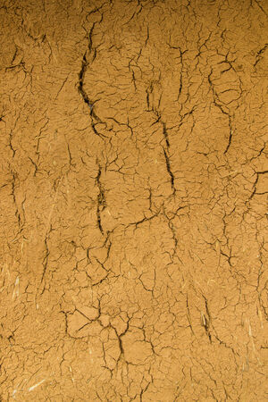 dry soil texture background の写真素材
