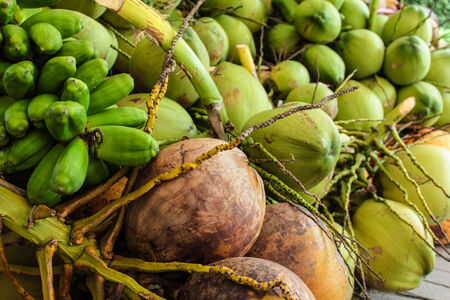 coconuts の写真素材