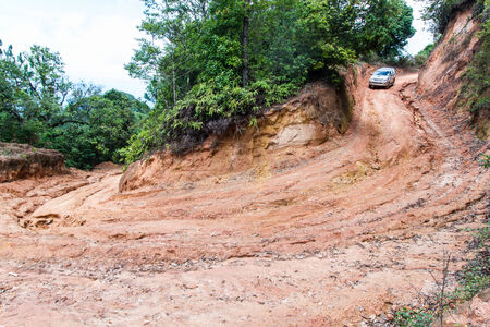 Rain Forest With A Dirt Roadの写真素材