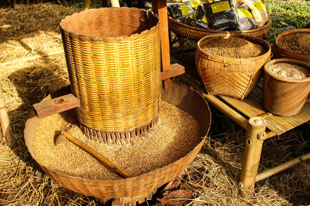 Crack the shell of his belongings の写真素材