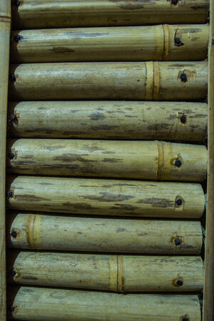 Bamboo wall background の写真素材