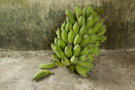  Banana Bud or  banana blossom Nice form of fresh banana の写真素材