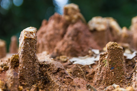 Soil erosion caused by heavy rainfalls in northern Thailand の写真素材