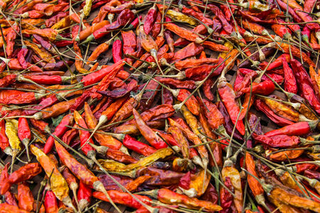 dried Chilliの写真素材
