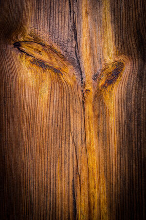  Pine wood for backgroundの写真素材