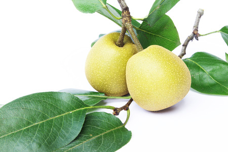 Chinese pear on white background の写真素材