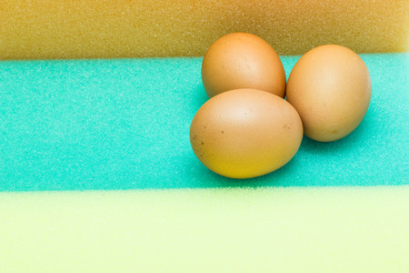 Eggs on spongeの写真素材
