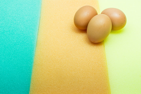 Eggs on spongeの写真素材