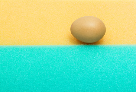 Eggs on spongeの写真素材