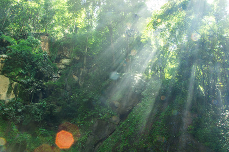 Beautiful summer landscape with sun beamsの写真素材