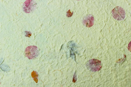 Mulberry paper with flower texture background.の写真素材