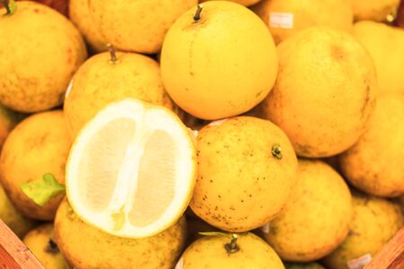 Fresh orangesの写真素材