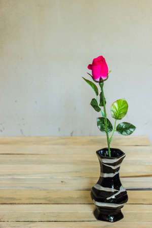 roses on wooden の写真素材