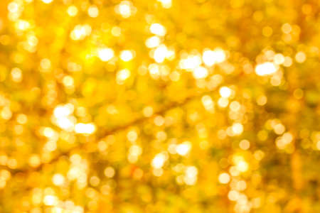 Natural yellow blurred background.の写真素材