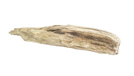 Driftwood tree stump on white backgroundの写真素材