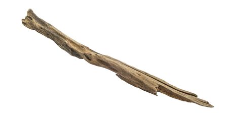 driftwood isolated on white backgroundの写真素材