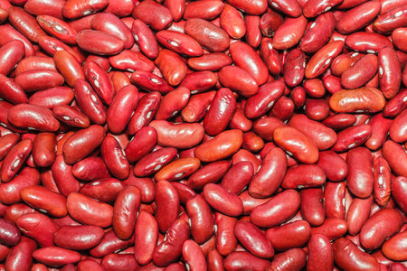 Red adzuki beanの写真素材